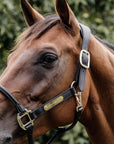 Kentucky Horsewear Anatomic Vegan Leather Halter, Black