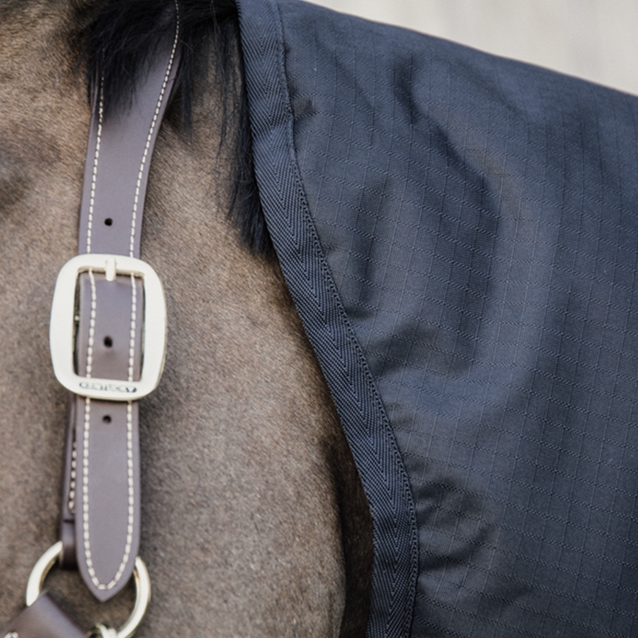 Kentucky Horsewear Neck All Weather Waterproof Classic, Navy