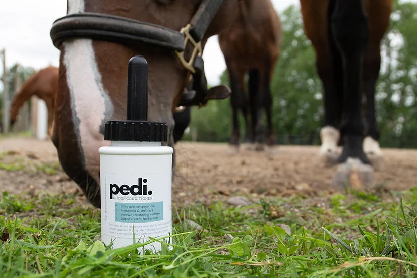 The Infused Equestrian pedi. A Hoof Conditioner