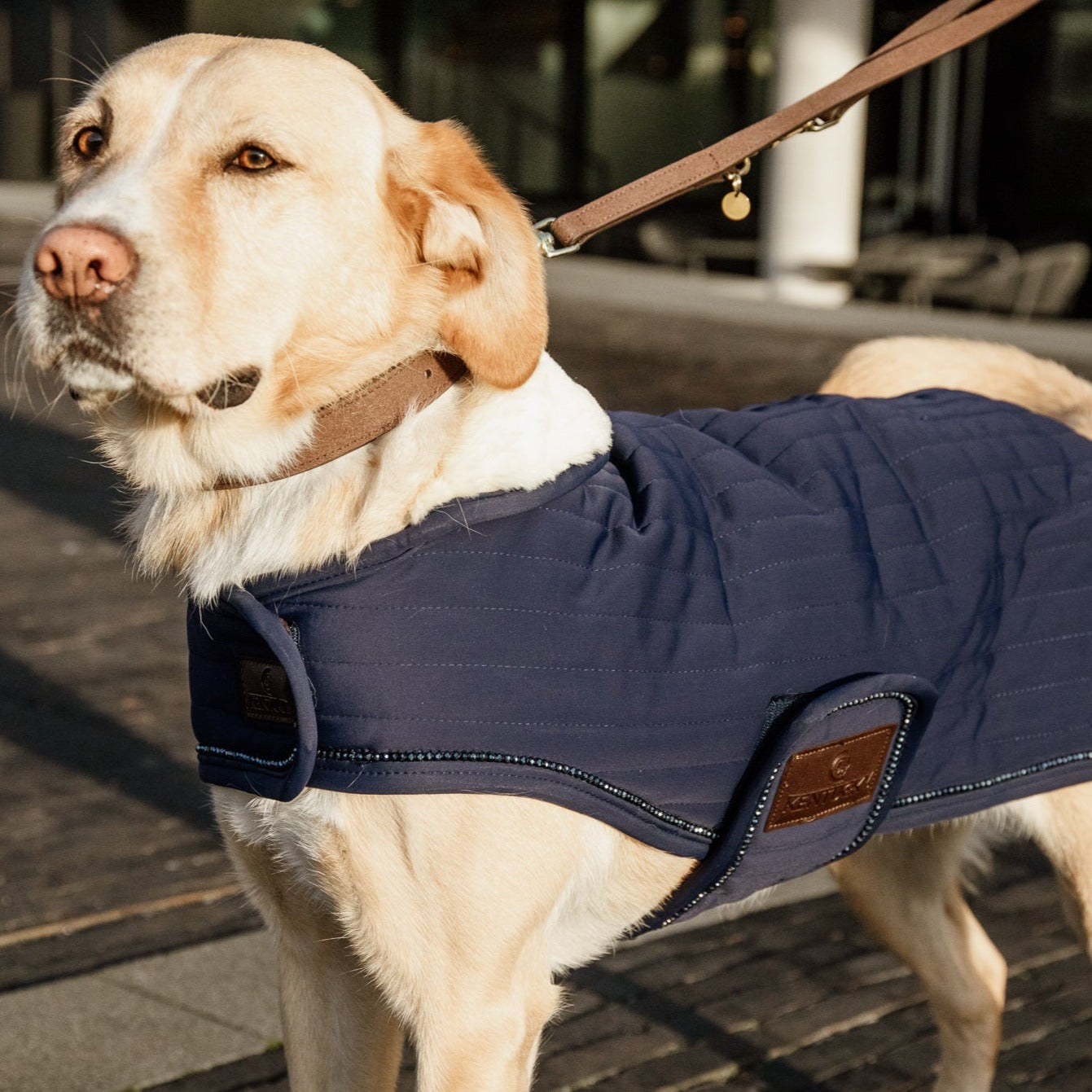 Kentucky Dog Coat Pearls, Navy