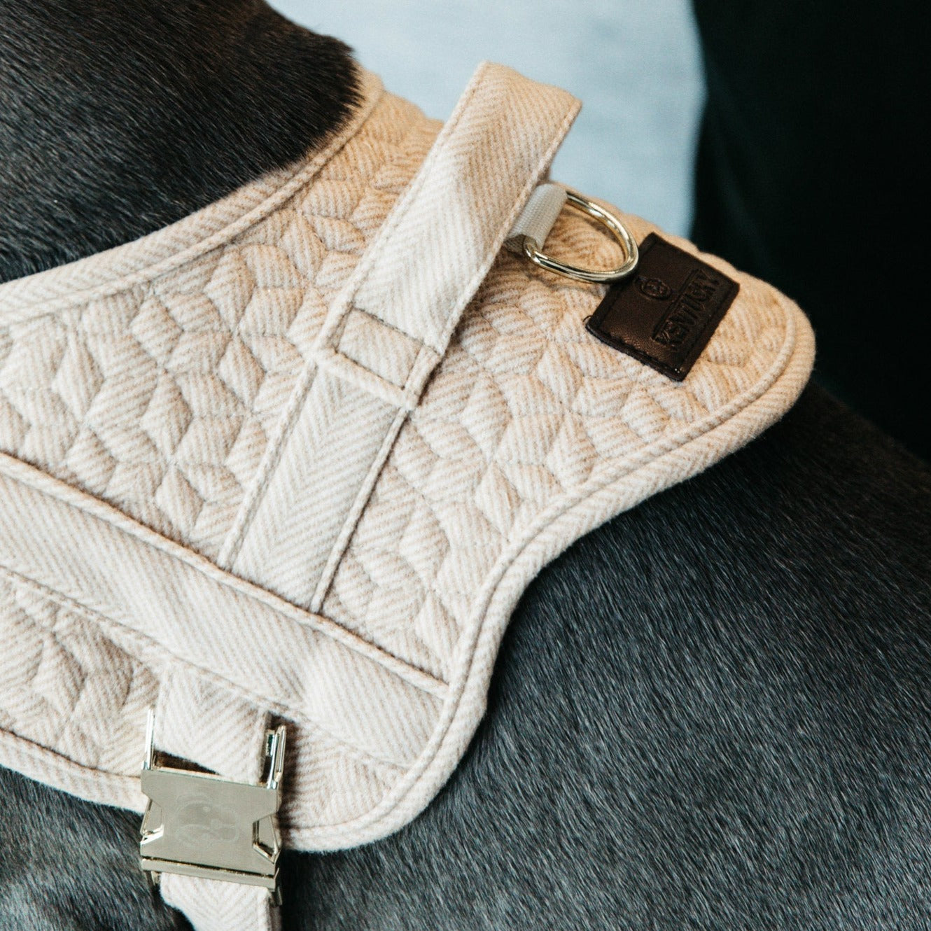 Kentucky Dog Harness Body Safe Wool, Beige