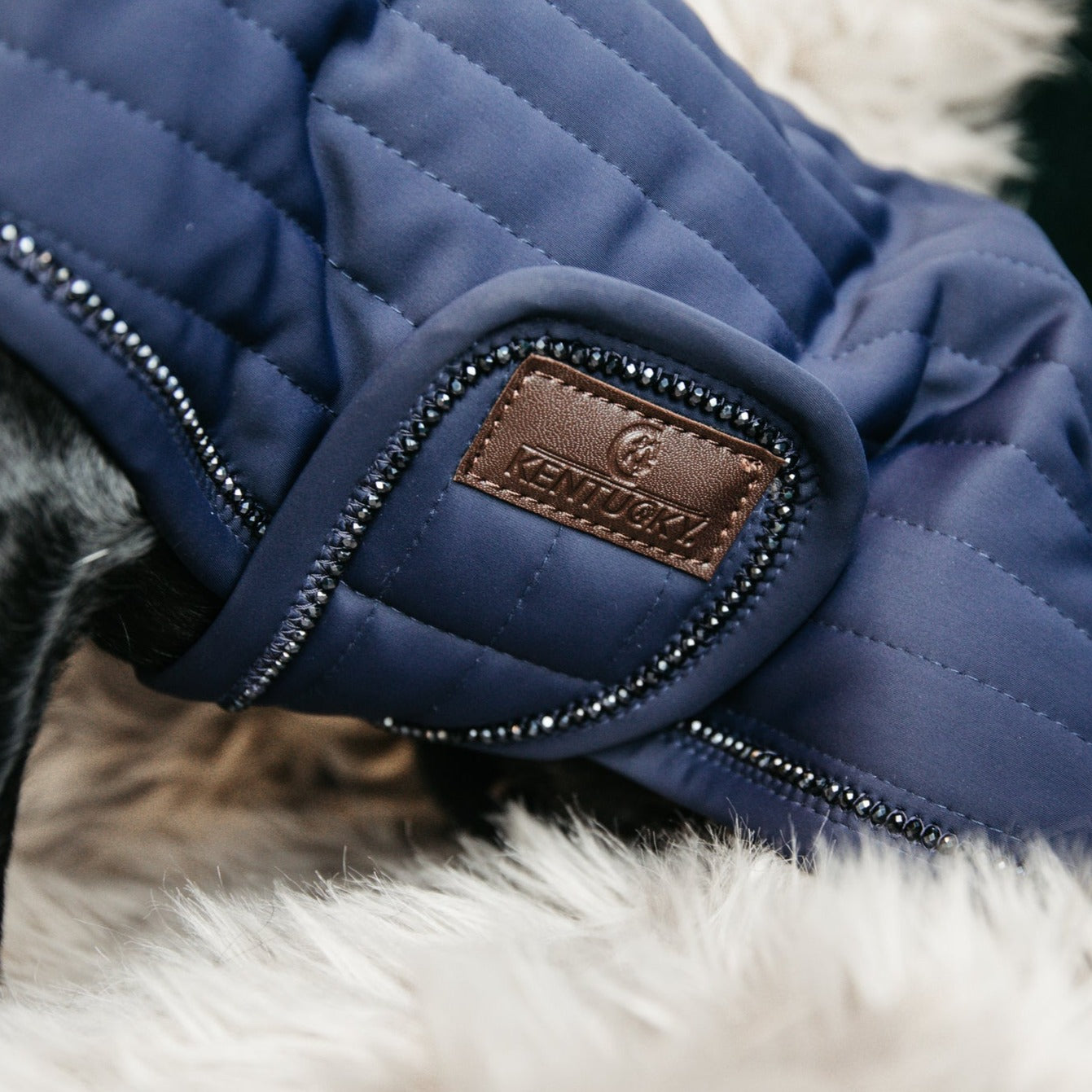 Kentucky Dog Coat Pearls, Navy