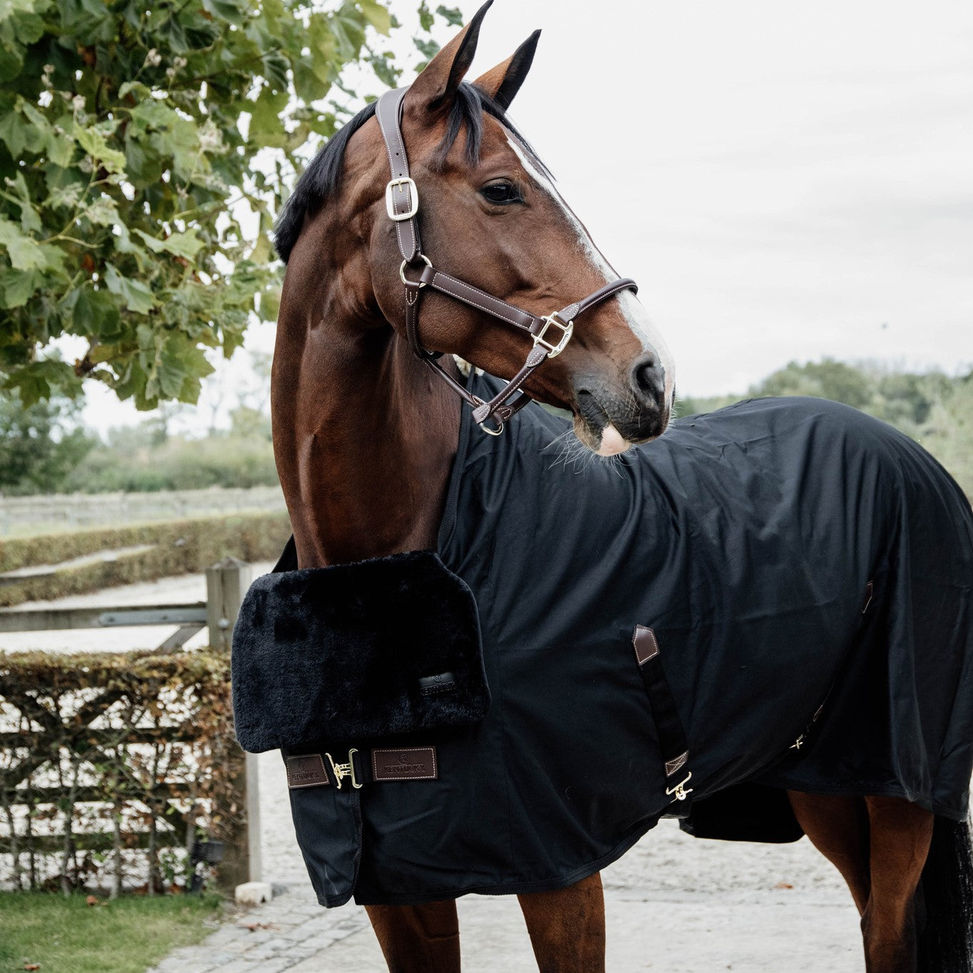 Kentucky Horsewear Horse Bib Chest Protection Sheepskin