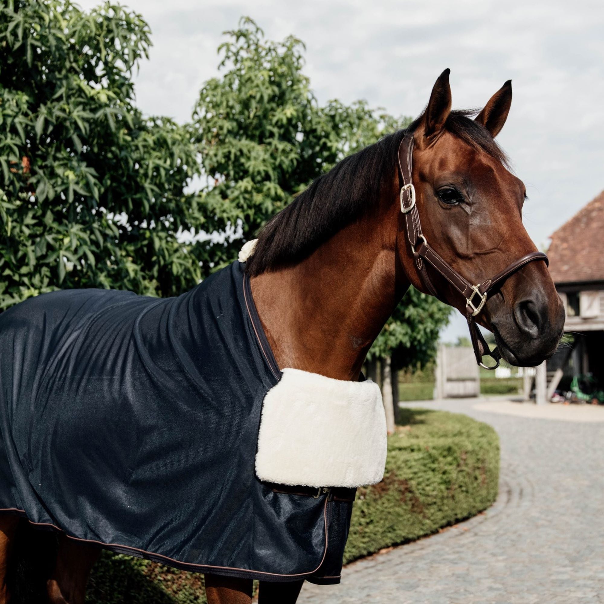 Kentucky Horsewear Horse Bib Chest Protection Sheepskin