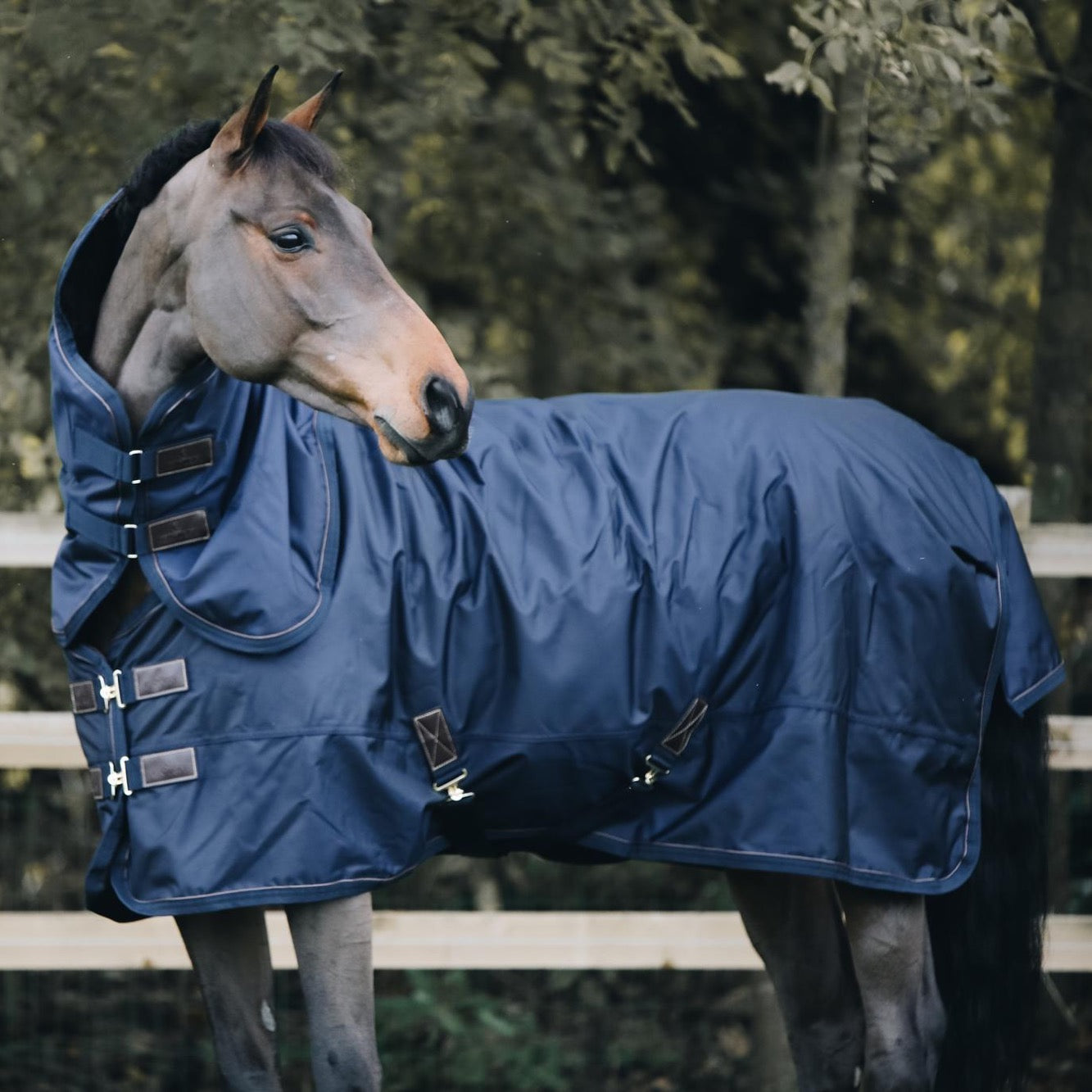 Kentucky Horsewear Neck All Weather Waterproof, 0g Navy