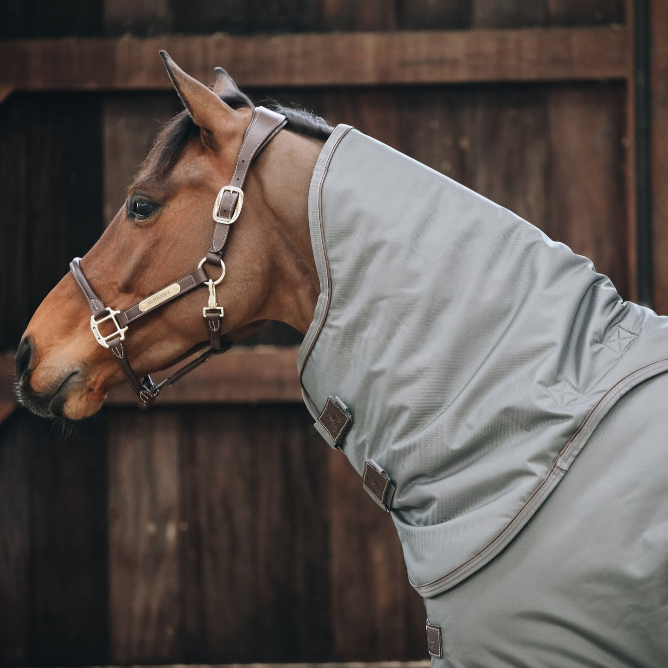 Kentucky Horsewear Neck All Weather Waterproof Pro, 150g, Green Gray
