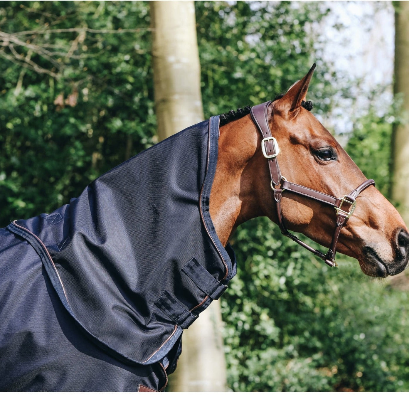 Kentucky Horsewear Neck All Weather Waterproof, 0g Navy