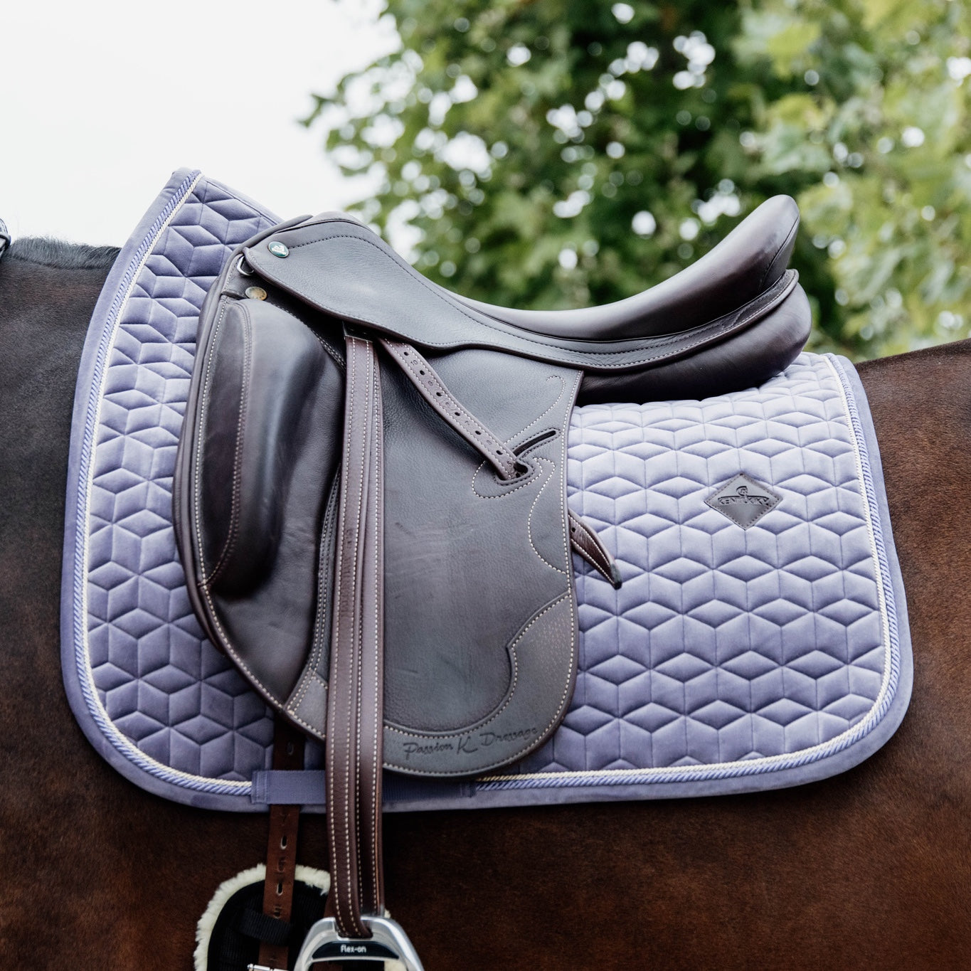 Kentucky Guêtres cheval Velvet Contrast (Violet Kentucky Guêtres cheval Velvet Contrast (Violet