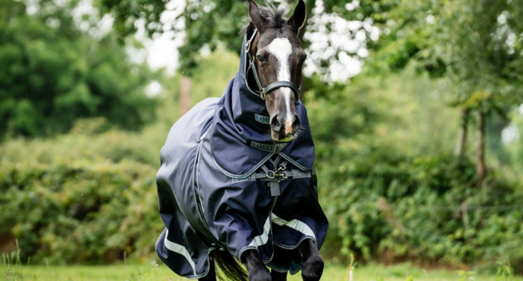 What Blanket Weight Should My Horse Wear in the Winter?