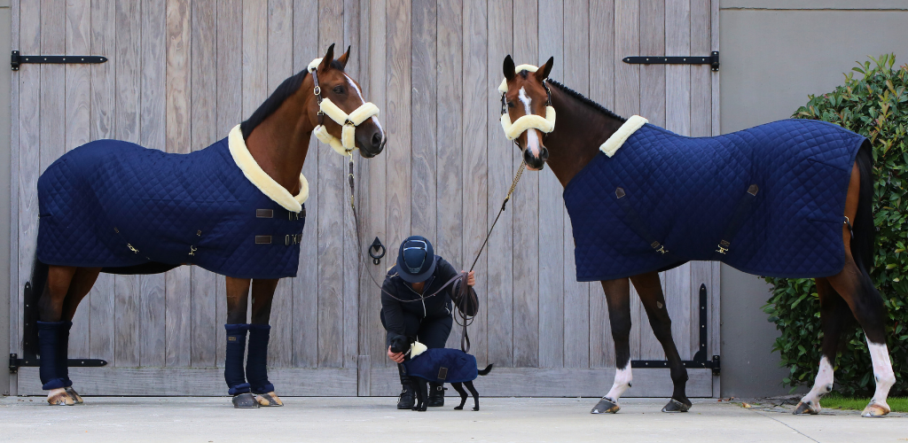 The Ultimate Guide to Technical Horse Blanket Fabrics: Denier & Breathability