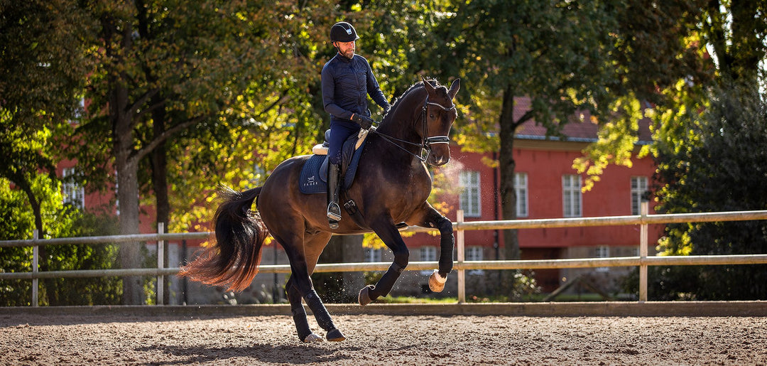 Why You Should Alternate Your Horse's Fager Bits Regularly
