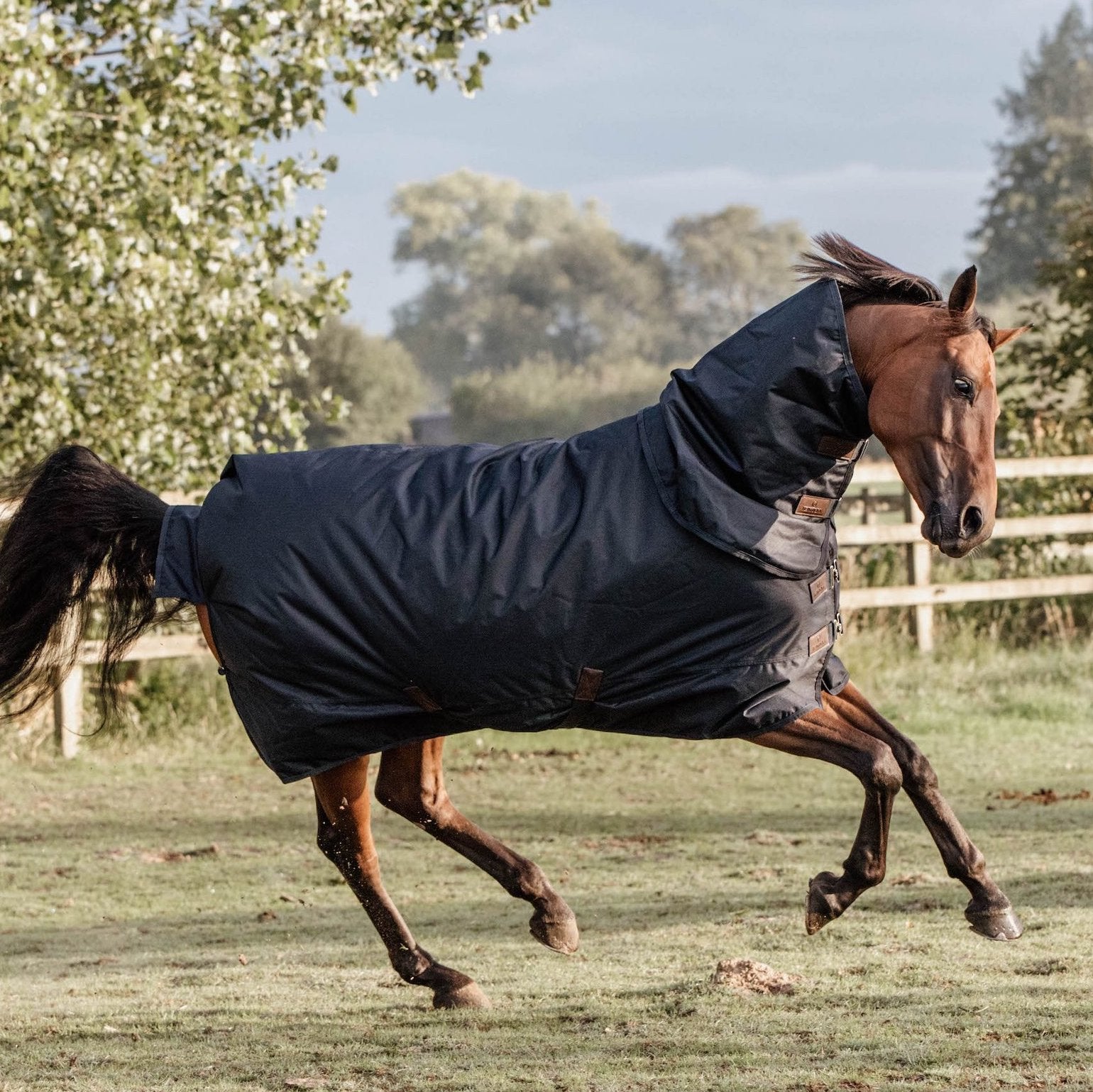 Tour the Blankets and Rugs in My Horse's Closet