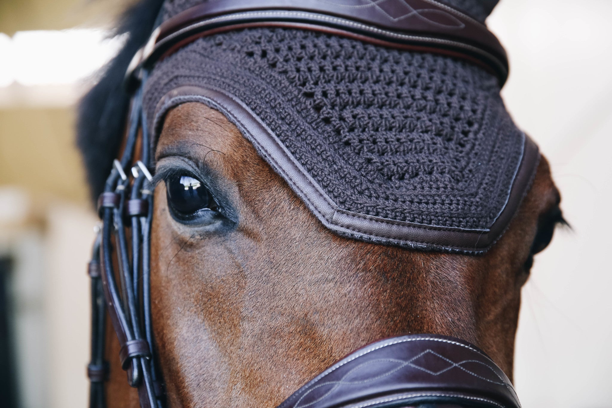 why do you have to clean a horse hoof