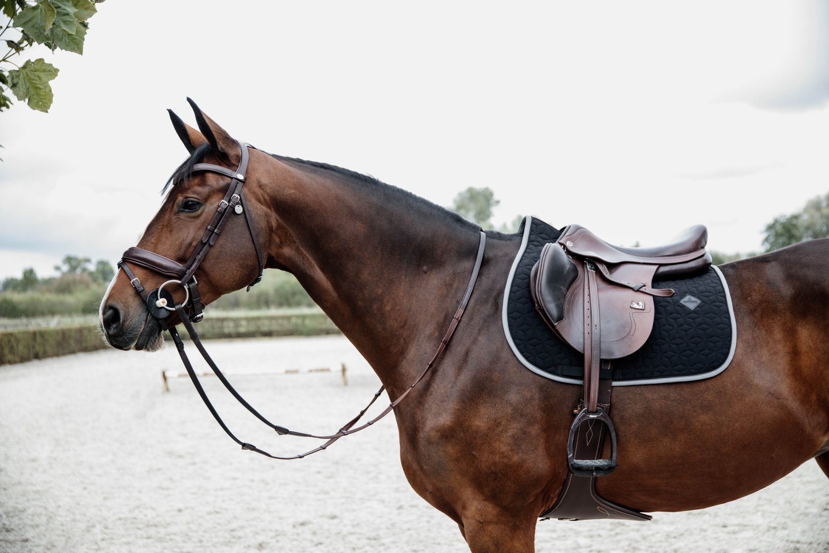 B Vertigo Meghan Highwaist Full Seat Breeches, Dark Navy – Dapper Horse