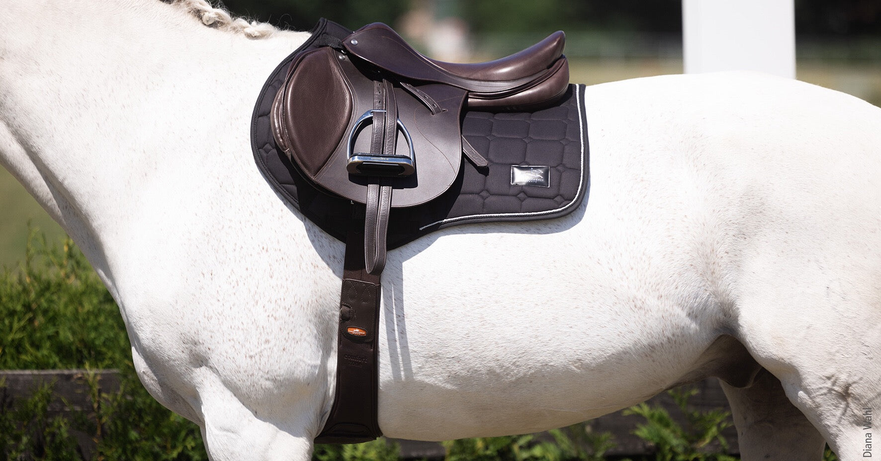 Tack Shack Equestrian  Online and in-store Equestrian Retailer