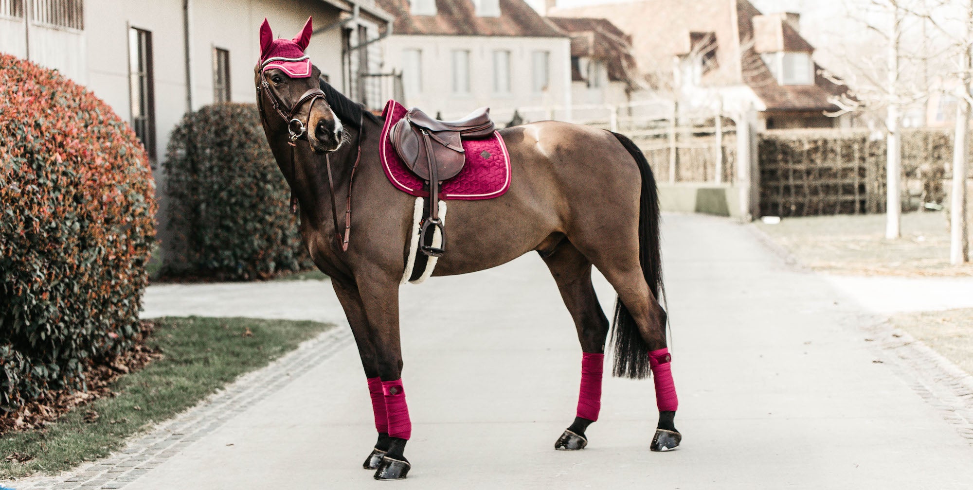 For Horses Tights Adelia Push Up Leggings [SALE] • TackNRider