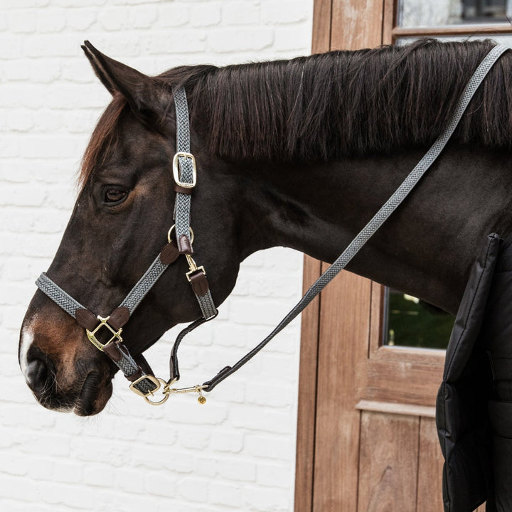 Kentucky Horsewear Plaited Nylon Horse Lead, Gray
