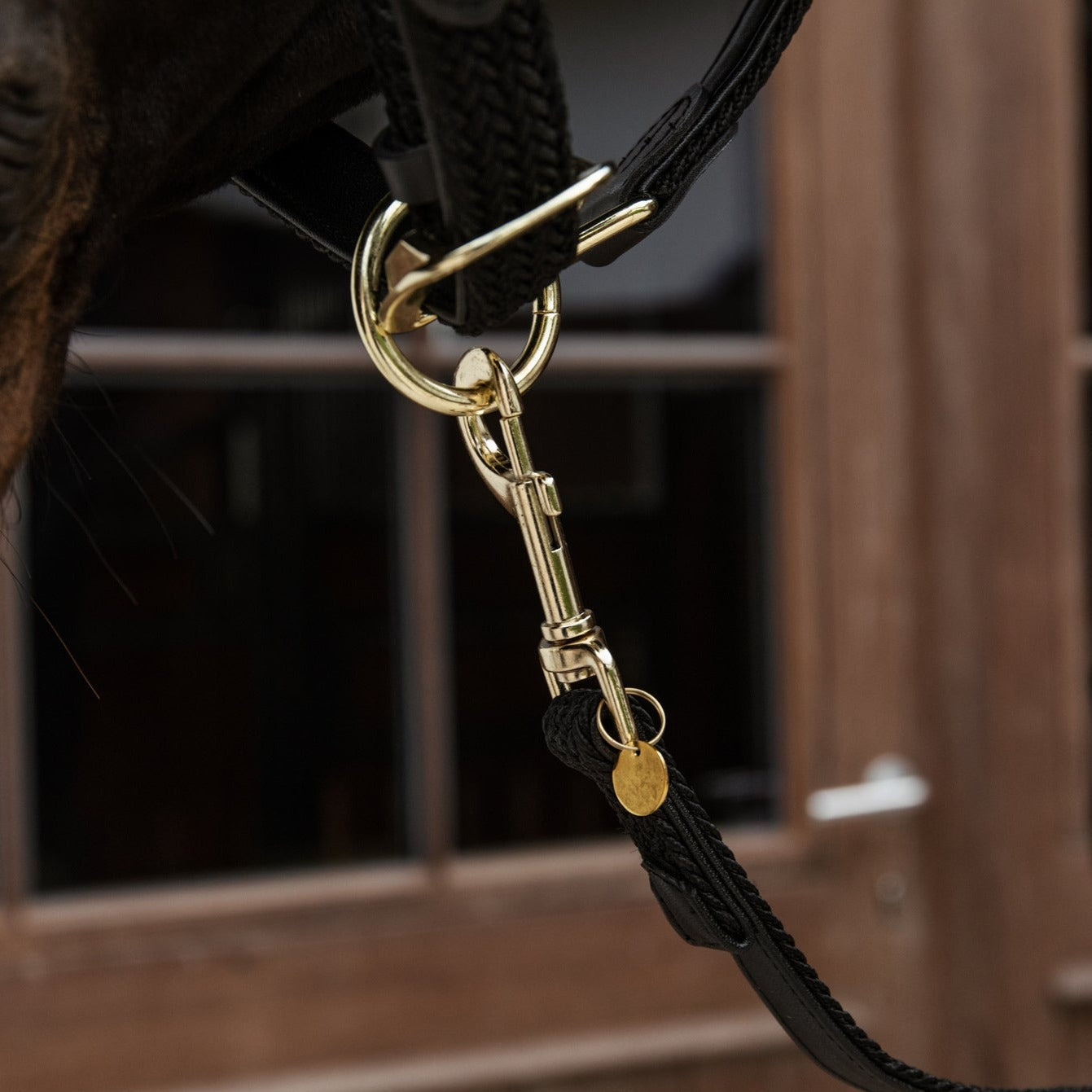 Kentucky Horsewear Plaited Nylon Horse Lead, Light Blue