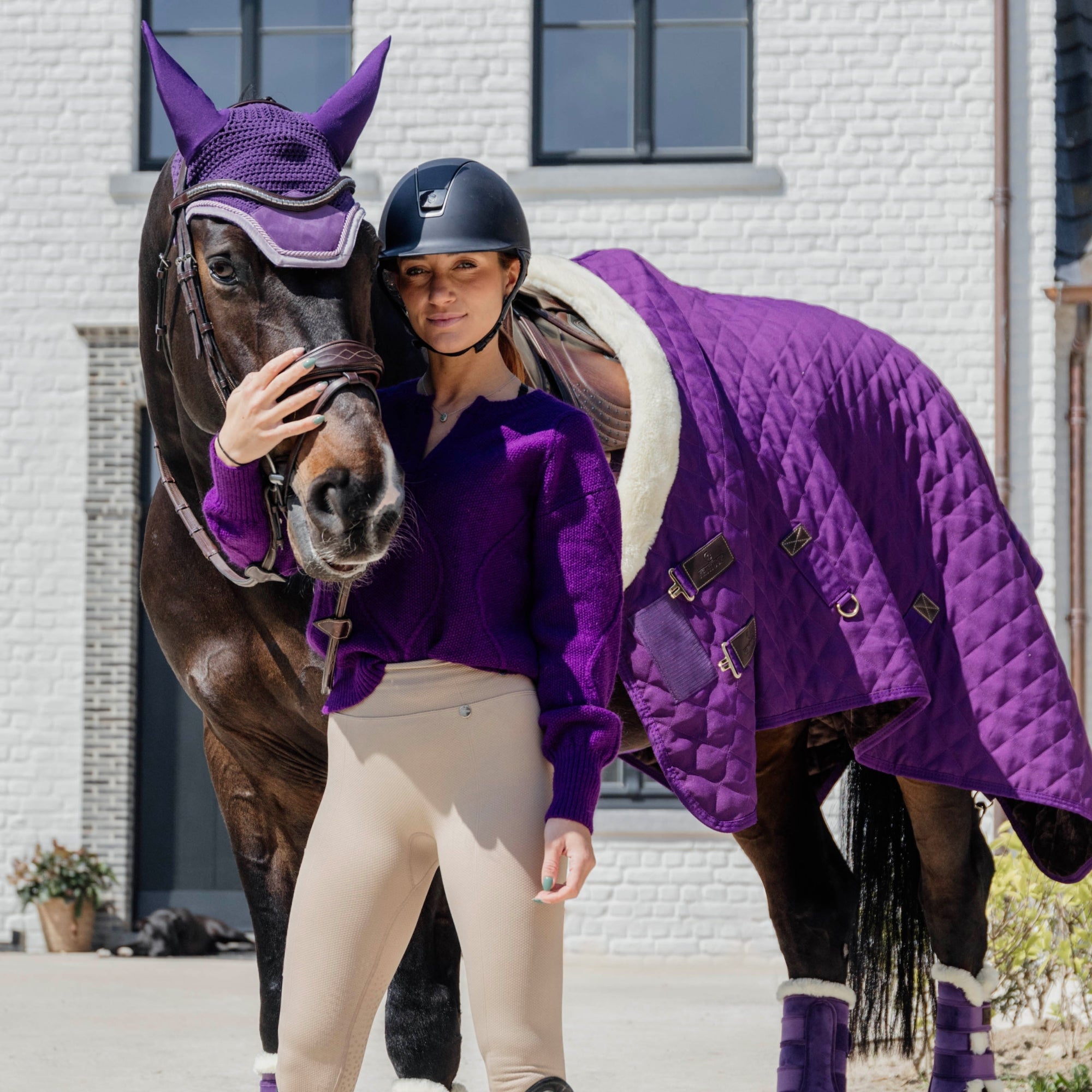 Kentucky Horsewear Show Rug, Royal Purple