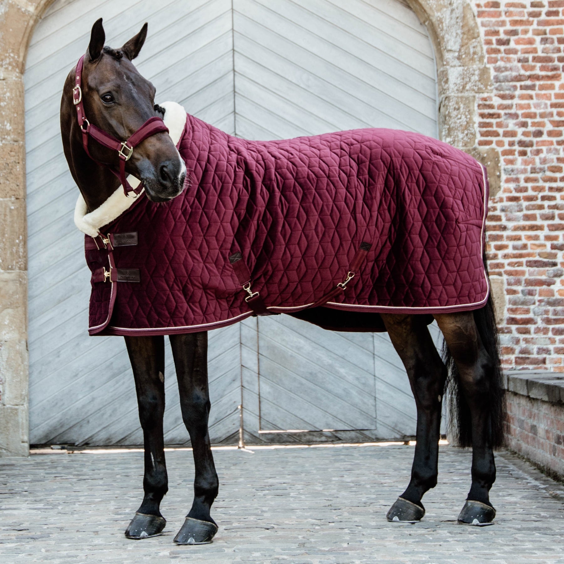 Kentucky Horsewear Show Rug Velvet 160g, Bordeaux