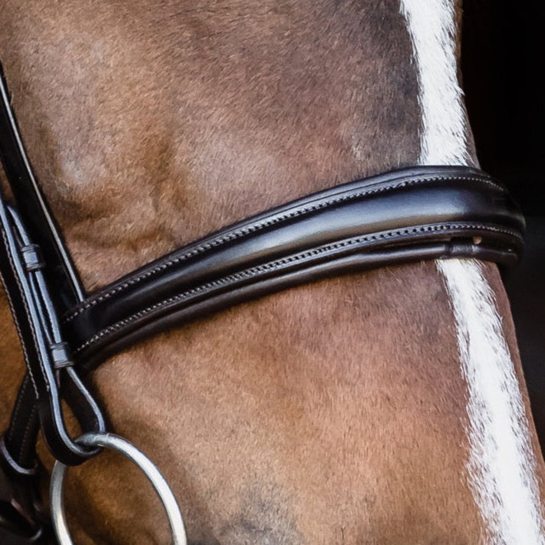 Schockemohle Monza Snaffle Bridle, Black/Silver