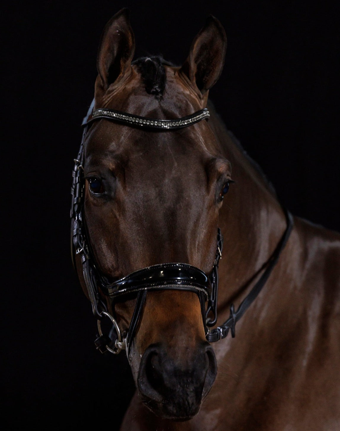 Schockemohle Equitus Beta Glam Anatomical Special Bridle, Black Patent/Silver