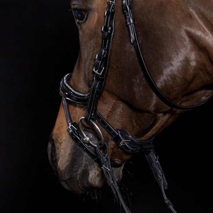 Schockemohle Equitus Beta Glam Anatomical Special Bridle, Black Patent/Silver