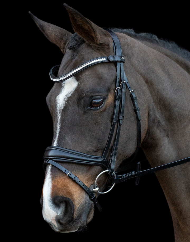 Schockemohle Charleston Bridle, Black/Silver