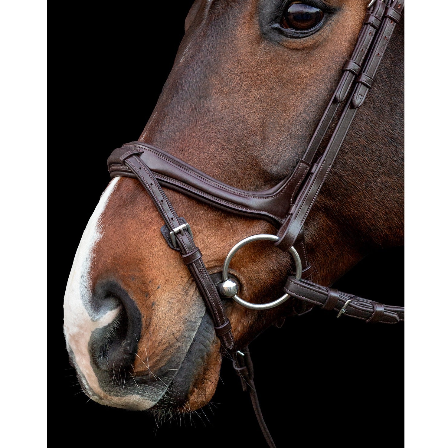 Schockemohle Ancona Bridle, Espresso/Silver