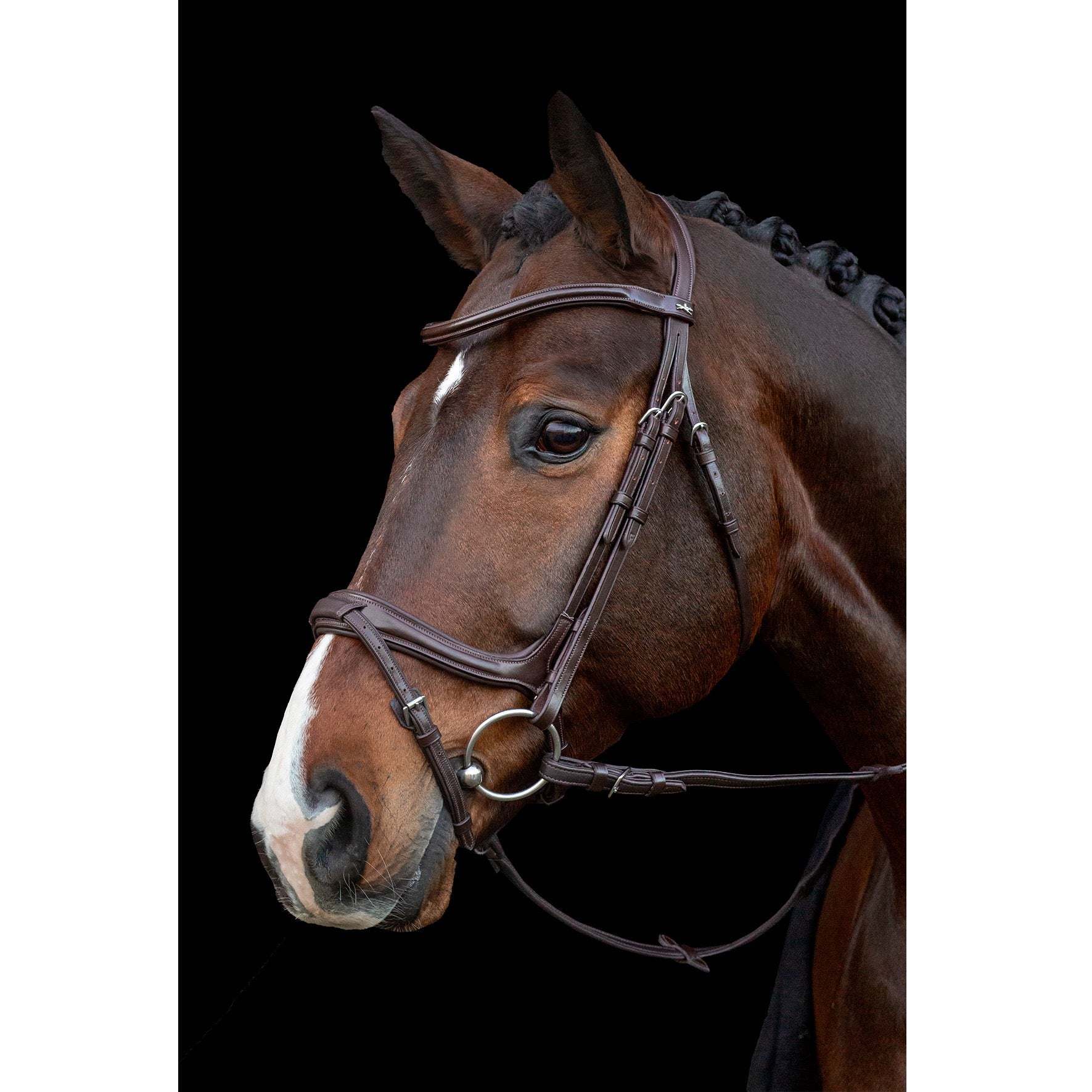 Schockemohle Ancona Bridle, Espresso/Silver