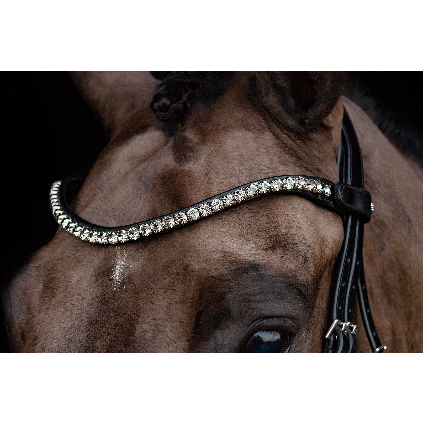 Schockemohle Siena Dressage Bridle, Black Patent / Gray