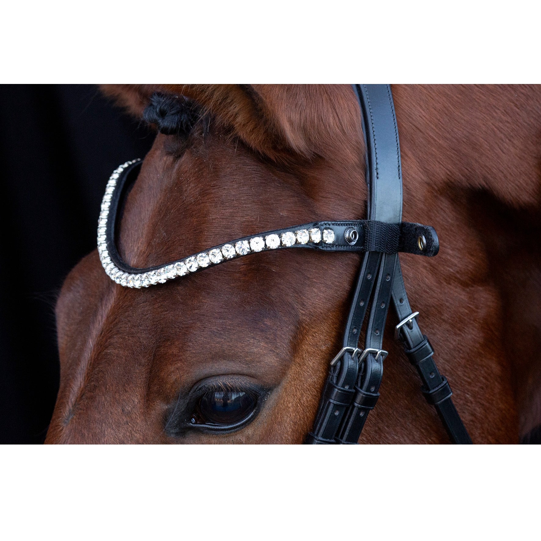 Schockemohle Siena Snap On Browband, Black/Crystal