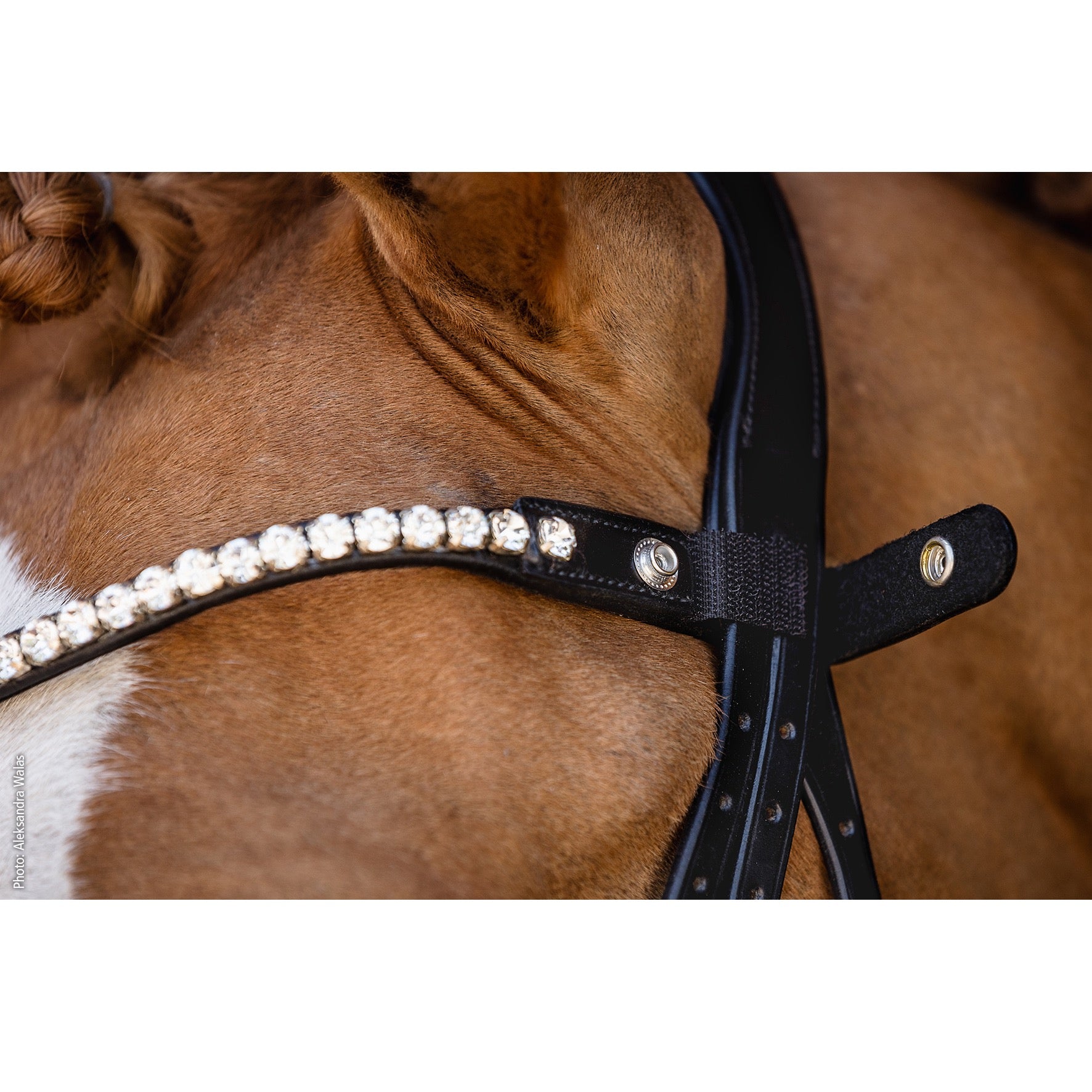 Schockemohle Siena Snap On Browband, Black/Crystal