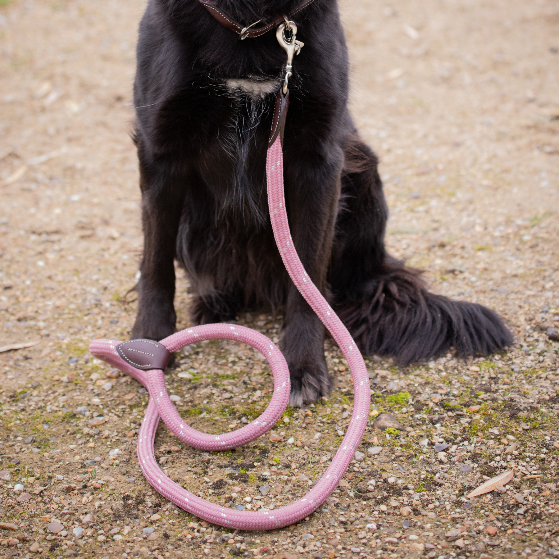 Pénélope Billie Dog Leash, Pink