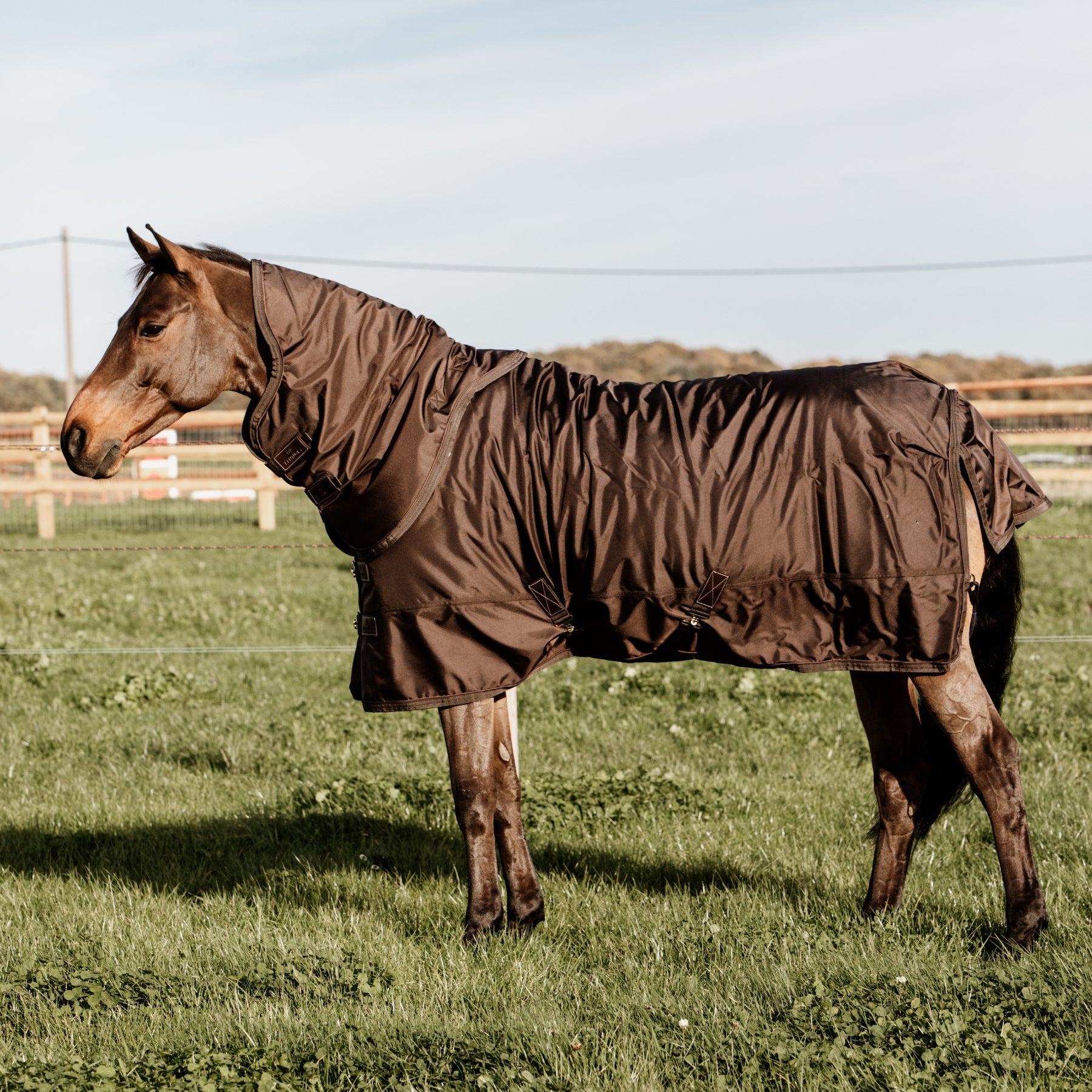 Kentucky Horsewear Turnout Rug All Weather Waterproof Pro 160g, Brown