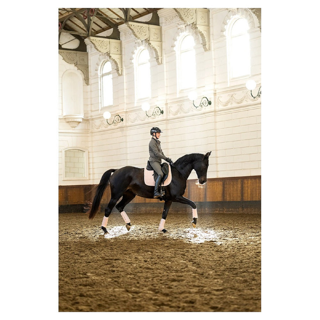 BR Equestrian Dressage Saddle Pad Djill, Adobe Rose
