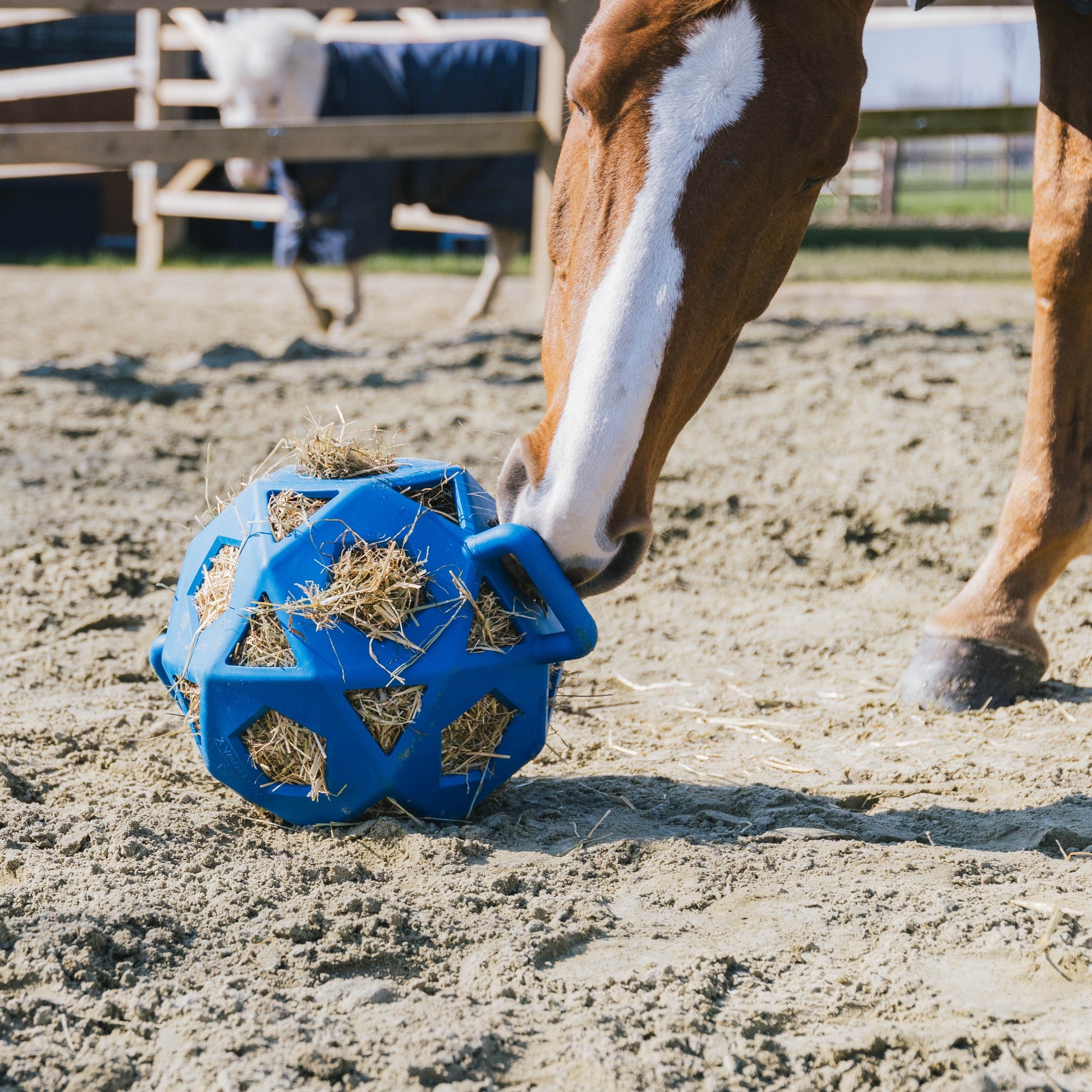 Kentucky Horsewear Relax Horse Play &amp; Hay Ball, Royal Blue