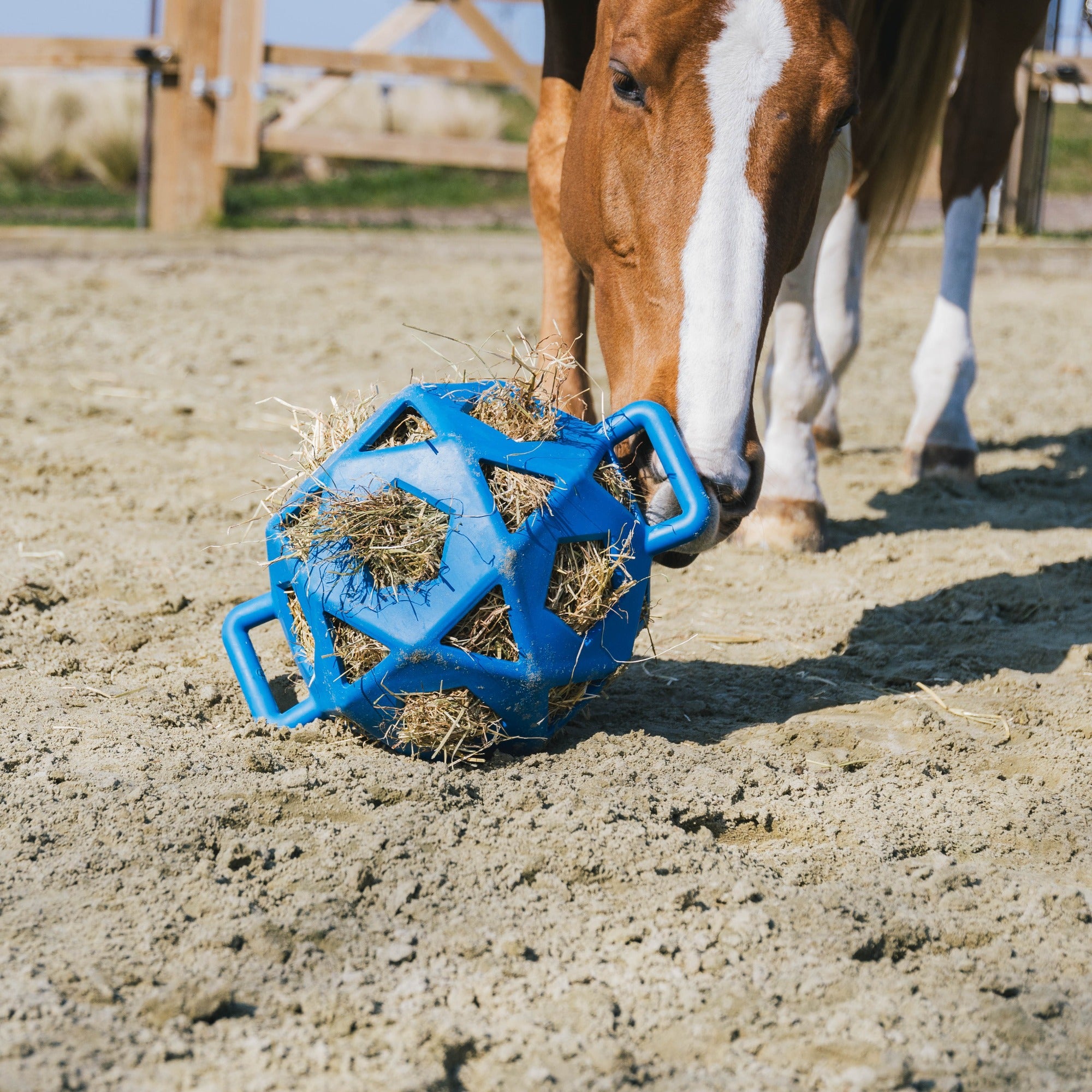 Kentucky Horsewear Relax Horse Play &amp; Hay Ball, Royal Blue