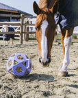 Kentucky Horsewear Relax Horse Play & Hay Ball, Lavender