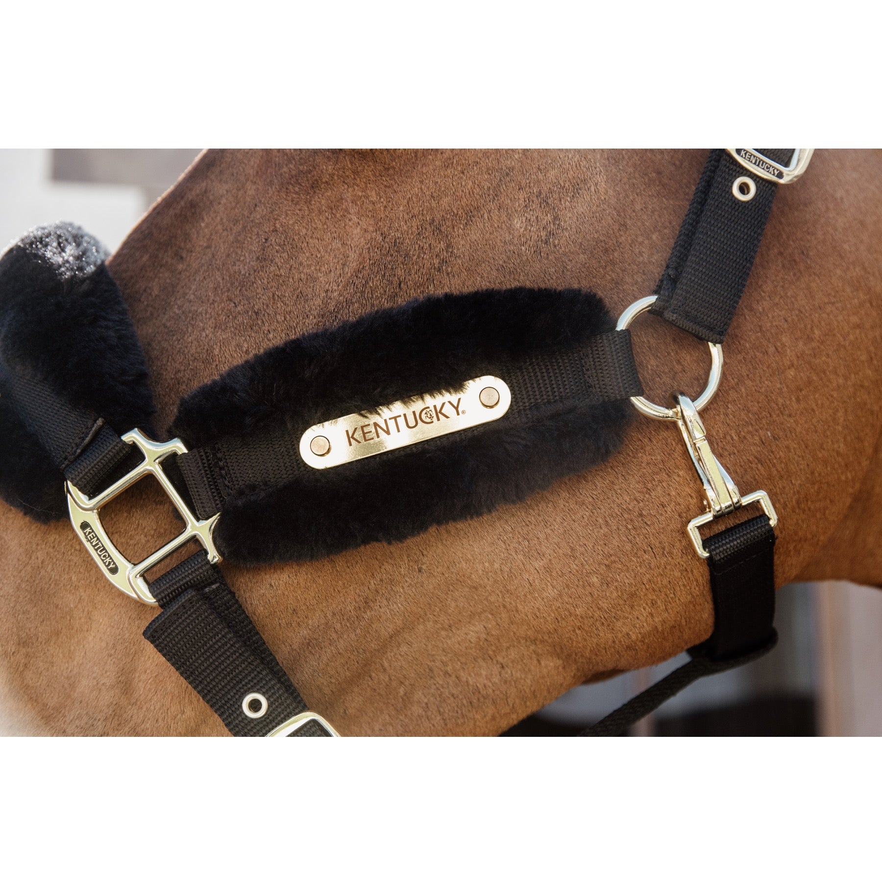 Kentucky Horsewear Nylon Sheepskin Halter Soft, Black