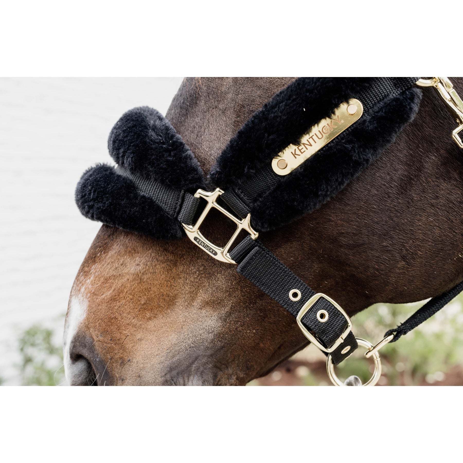 Kentucky Horsewear Nylon Sheepskin Halter Soft, Black