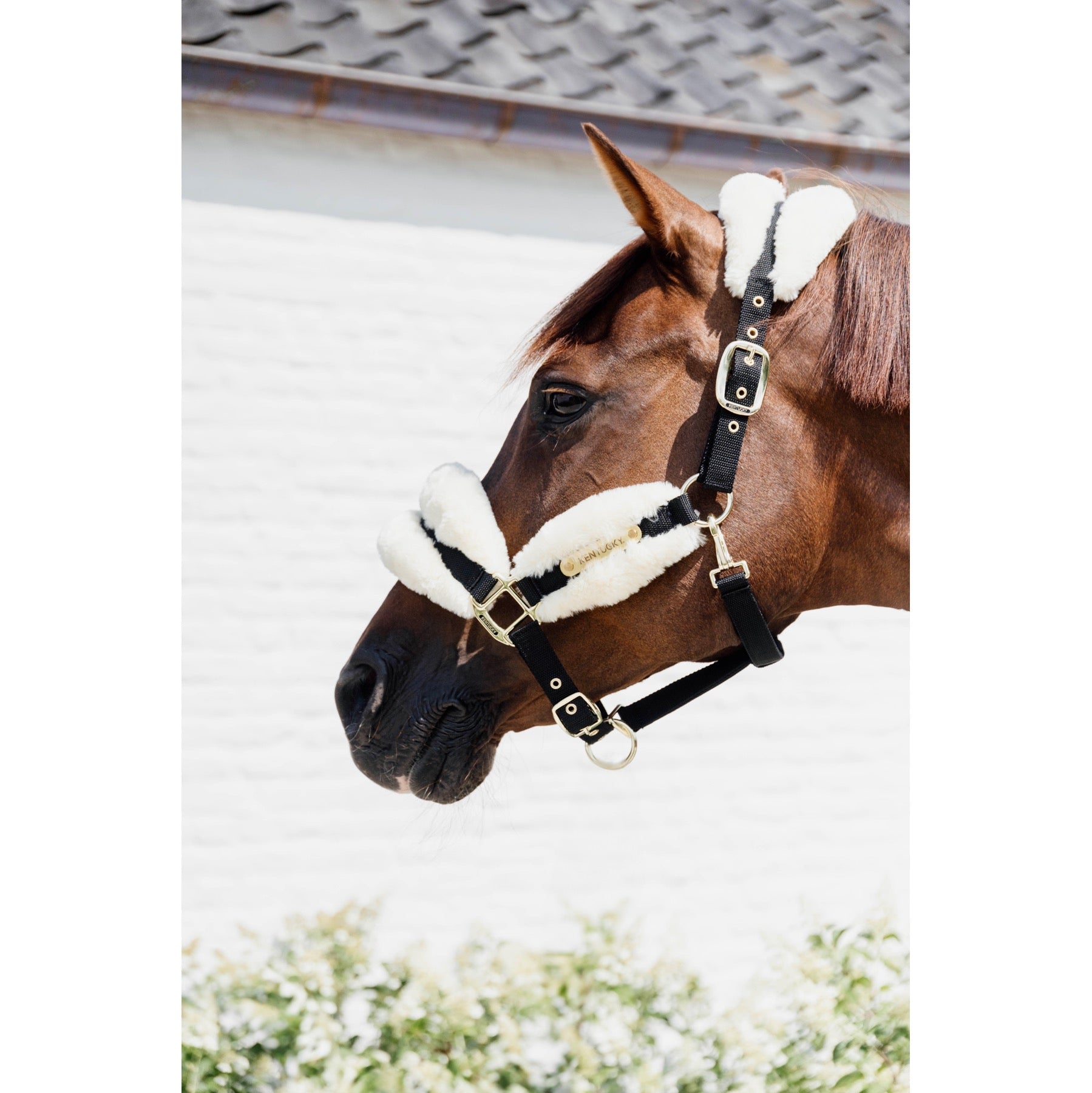 Kentucky Horsewear Nylon Sheepskin Halter Soft, Natural