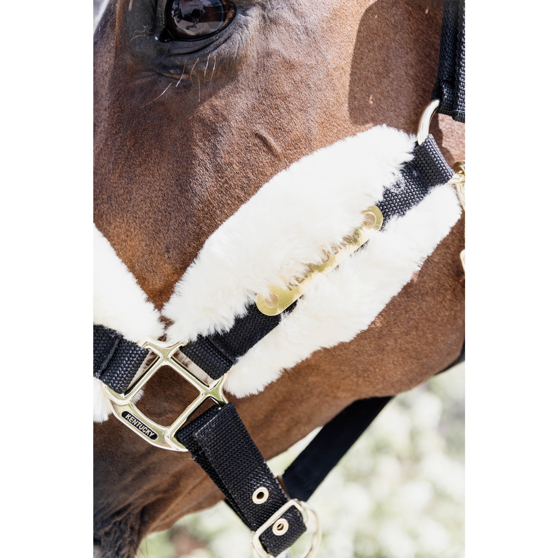 Kentucky Horsewear Nylon Sheepskin Halter Soft, Natural