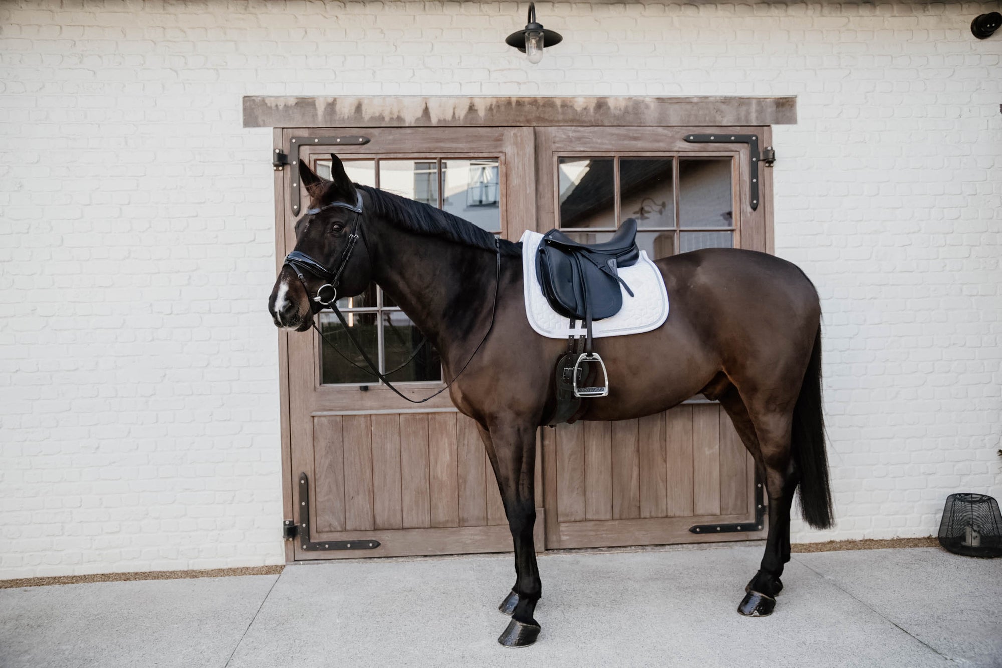 Kentucky Horsewear Glitter Rope Dressage Saddle Pad, White / Marine