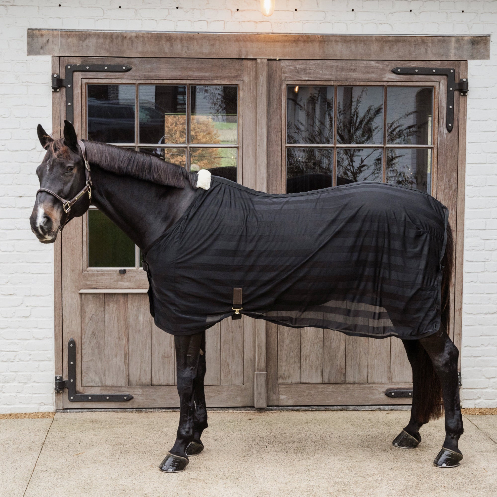 Kentucky Horsewear Light Striped Mesh Fly Sheet, Black