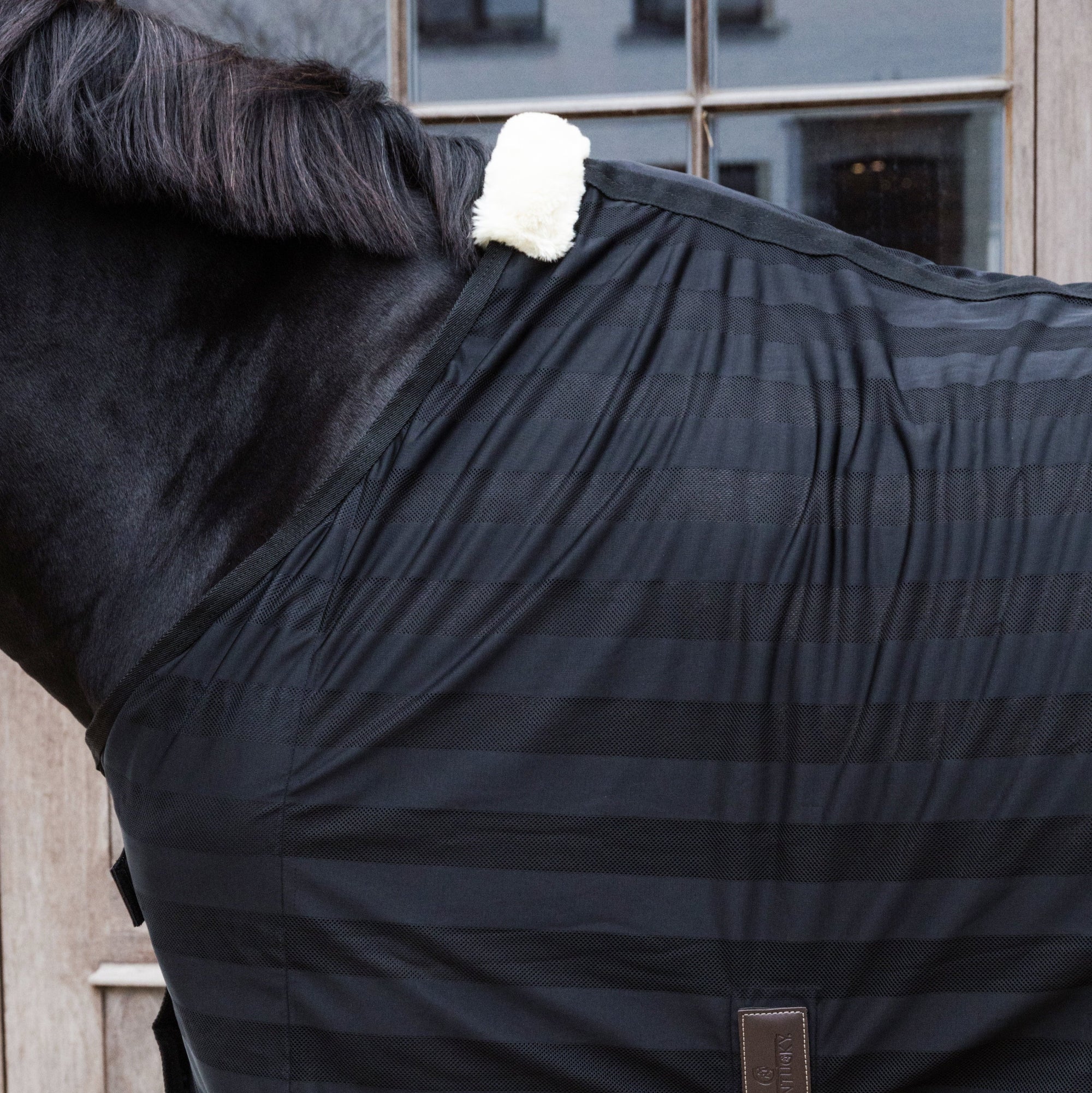 Kentucky Horsewear Light Striped Mesh Fly Sheet, Black