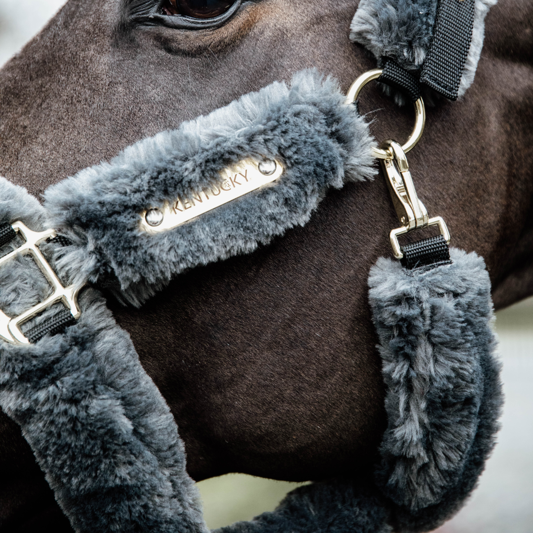 Kentucky Horsewear Sheepskin Shipping Halter, Gray