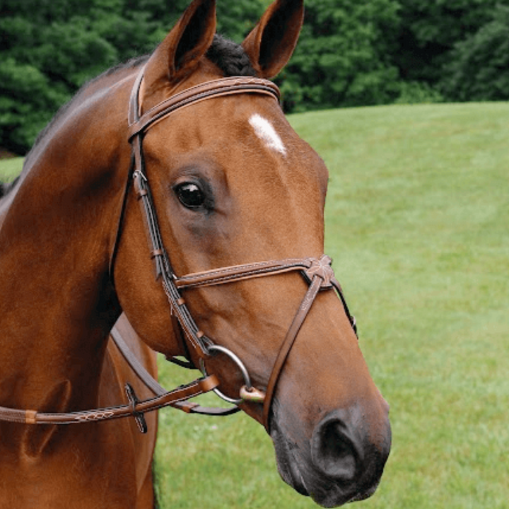 ADT Tack Imperial Figure 8 Bridle with Raised Fancy Rubber Reins