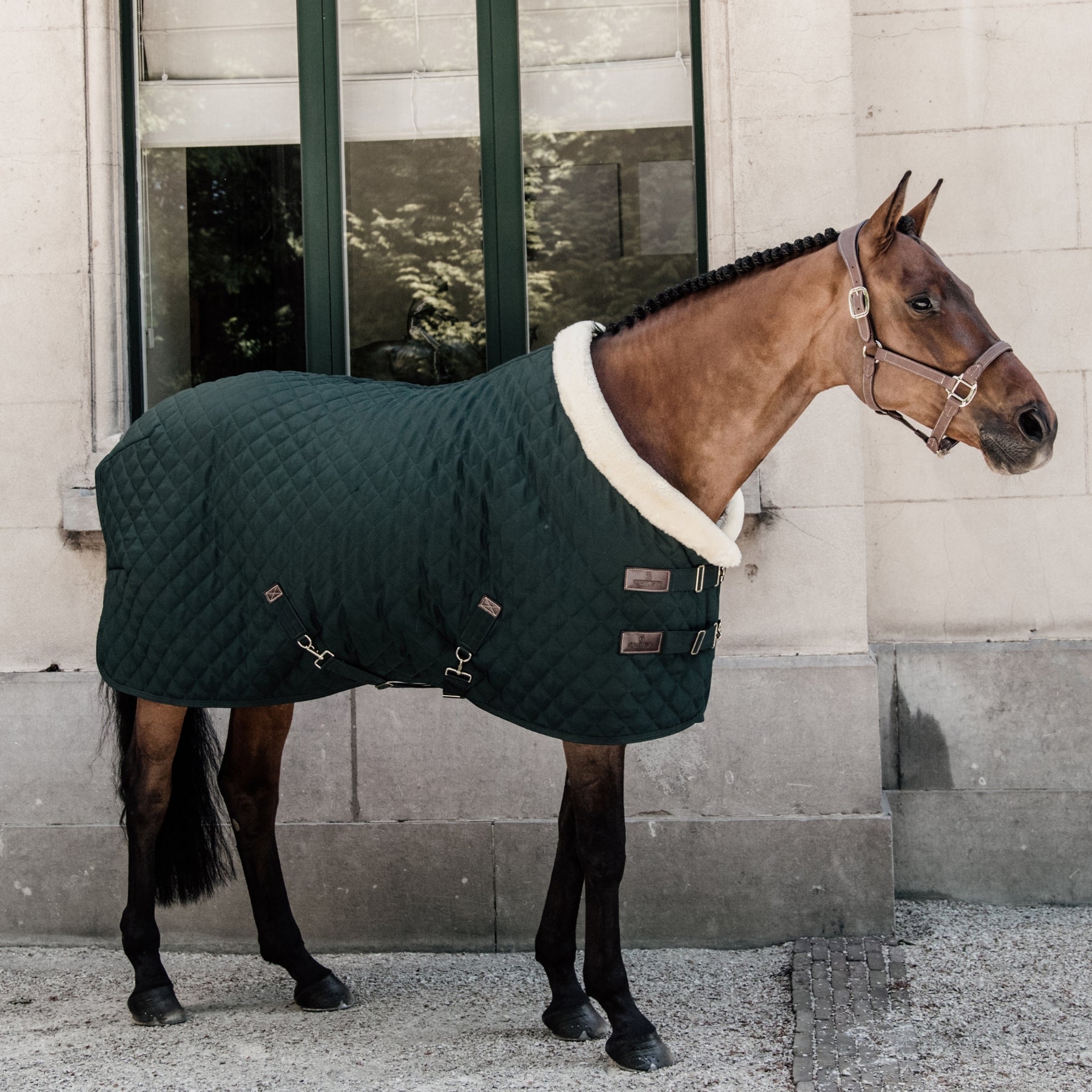 Kentucky Horsewear Show Rug, Dark Green