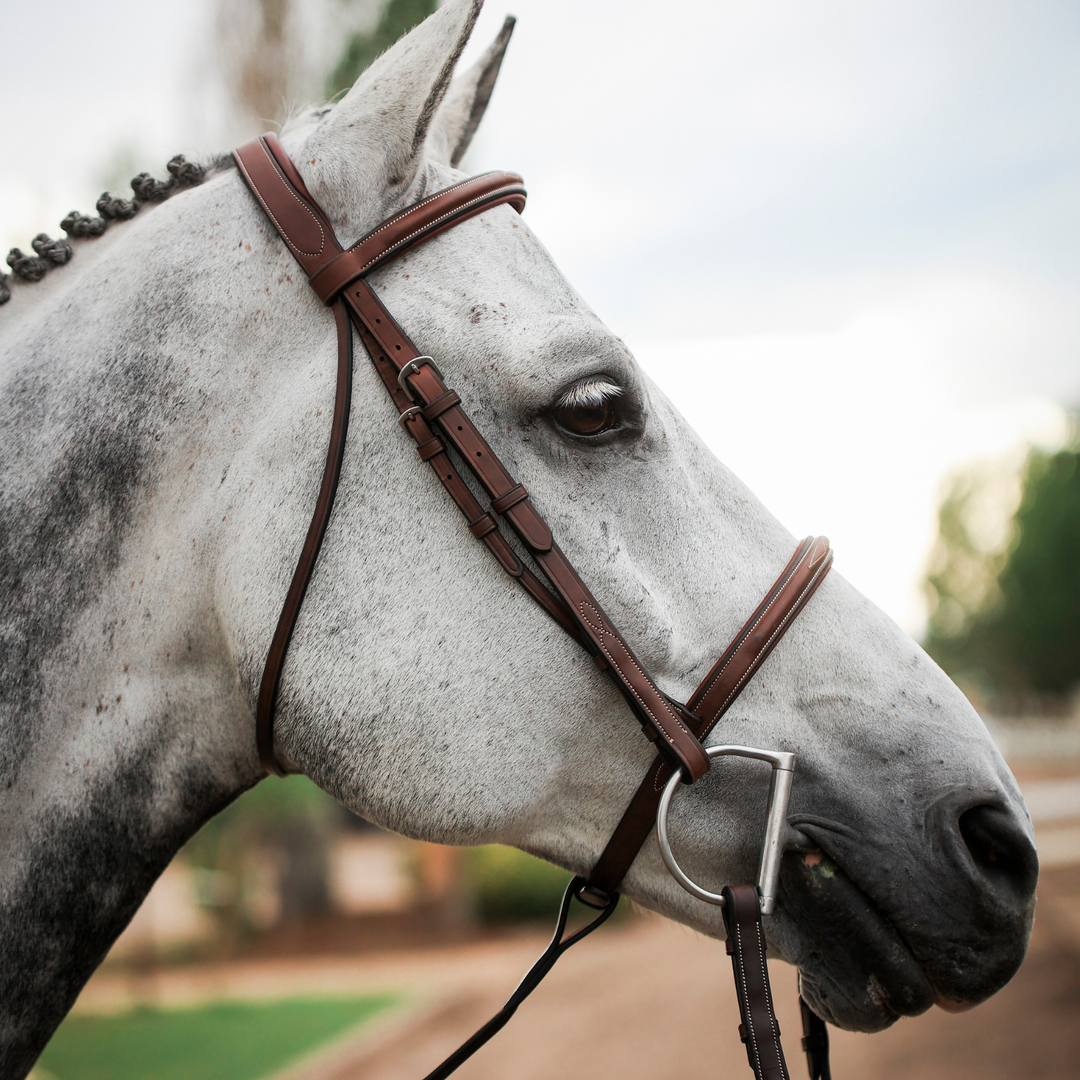 ADT Tack Imperial Bridle w/Raised Fancy Laced Reins, Brown